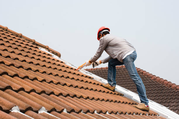 Best Roof Insulation Installation  in Albany, TX